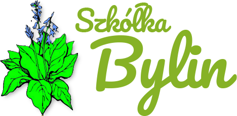Kraina Bylin logo